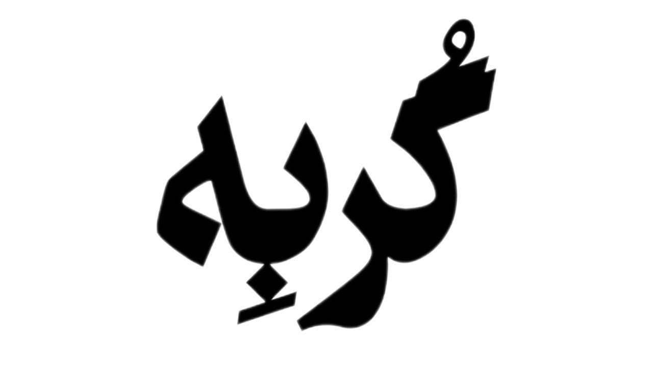 «گربه» روی صحنه‌ خانه‌‌نمایش دا می‌رود