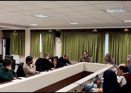 اعلام جزئیات اولین جلسه بررسی سند ملی موسیقی در معاونت امورهنری وزارت فرهنگ